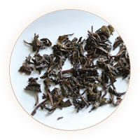 Inherited reference illustration for Qimen An Tea infused leaves