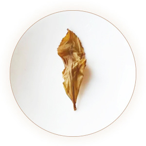 An inherited reference photograph of infused Bai Ji Guan leaves