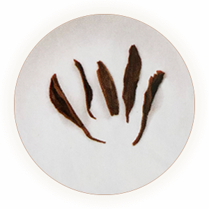 An inherited photograph of infused Bailin Gongfu leaves