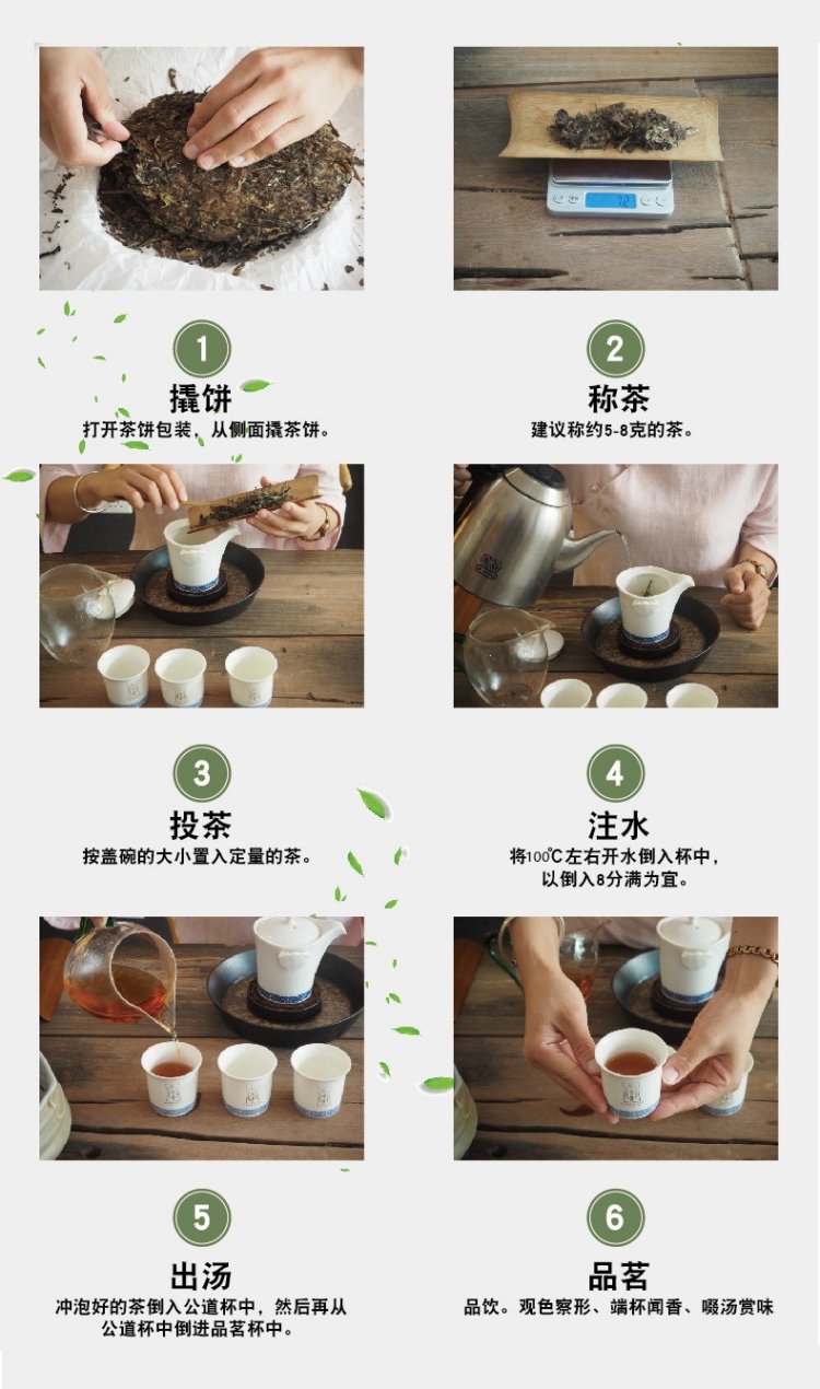 Original Chinese-labelled Bai Mudan brewing illustration with conditions explained in English