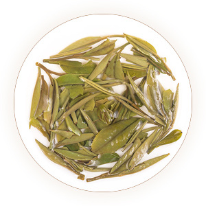 An inherited reference photograph of infused Bai Mudan buds and leaves