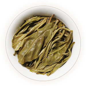 Inherited reference illustration for Bingdao Pu-erh infused leaves