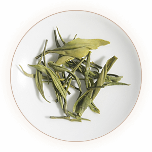 Inherited reference illustration for Guzhu Zisun infused leaves
