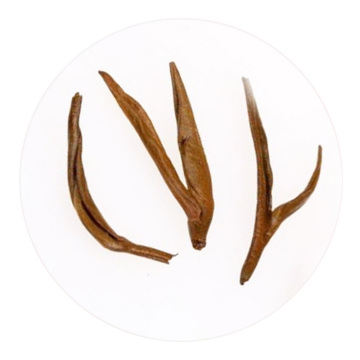 Inherited reference illustration for Dianhong Golden Snail infused leaves