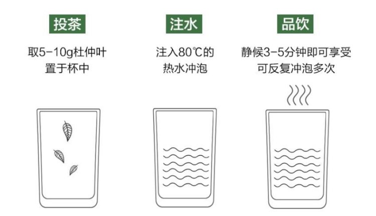 Original Chinese-labelled Eucommia Leaf Tea brewing illustration with English conditions