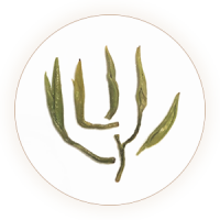 Inherited reference illustration for Emei Maofeng infused leaves