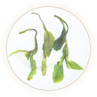 Inherited reference illustration for Fenggang Zinc-Selenium Tea infused leaves