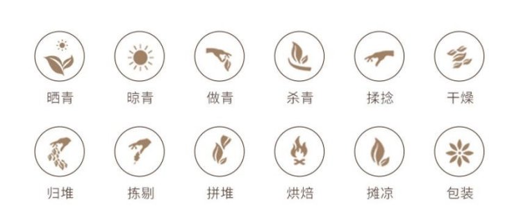 Original Chinese-labelled Phoenix Dancong process illustration