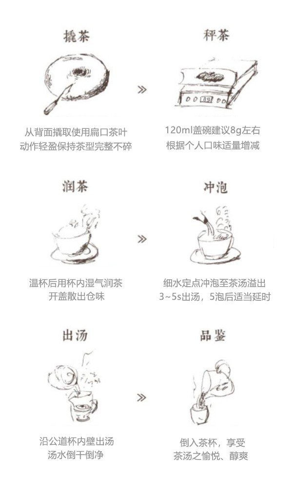 Original Chinese-labelled Mojiang Fenghuangwo Pu-erh brewing illustration with English conditions