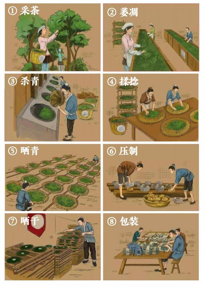 Original Chinese-labelled Mojiang Fenghuangwo Pu-erh process illustration