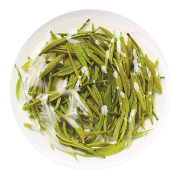 Inherited reference illustration for Jinggang Cuilü infused leaves