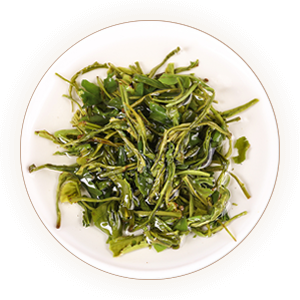 Inherited reference illustration for Jiukeng Maojian infused leaves