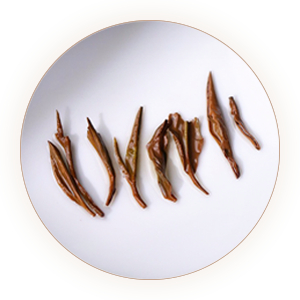 Inherited reference illustration for Jiuqu Hongmei infused leaves