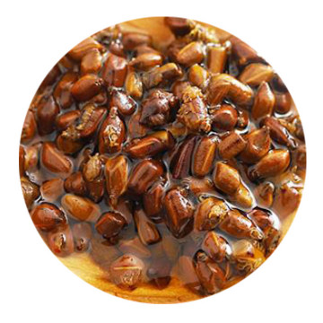Inherited reference illustration for Cassia Seed Tea infused material
