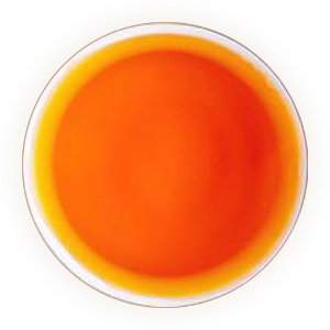 Inherited reference illustration for Kunlun Snow Chrysanthemum tea liquor
