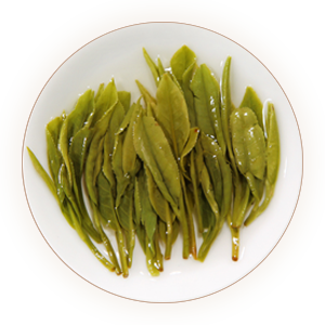 Inherited reference illustration for Laozhu Dafang infused leaves