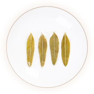 Original contextual infused material illustration for Luobuma leaf tea