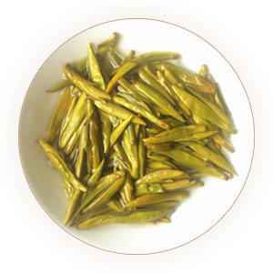 Inherited reference illustration for Mengding Huangya infused leaves
