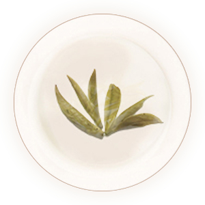 Inherited reference illustration for Pingyang Huangtang infused leaves