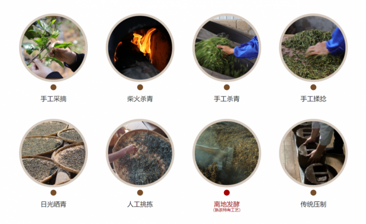 Original Chinese-labelled Shou Pu-erh process illustration