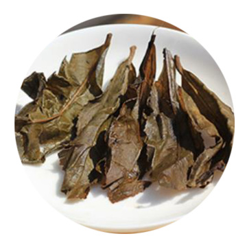 Inherited reference illustration for Qianliang Tea infused leaves