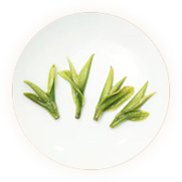 Inherited reference illustration for Tianmuhu Baicha infused leaves
