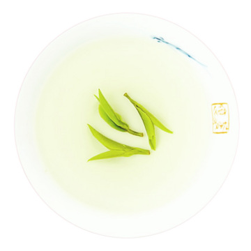 Inherited reference illustration for Tongcheng Xiaohua infused leaves