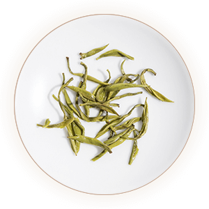 Inherited reference illustration for Wenjun Green Tea infused leaves