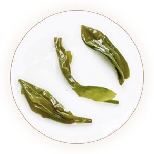 Inherited reference illustration for Xixiang Chaoqing infused leaves