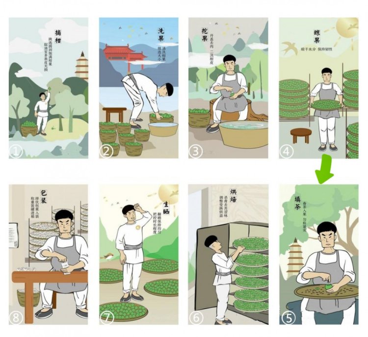 Original Chinese-labelled Xiao Qing Gan: Green-Citrus Pu-erh process illustration