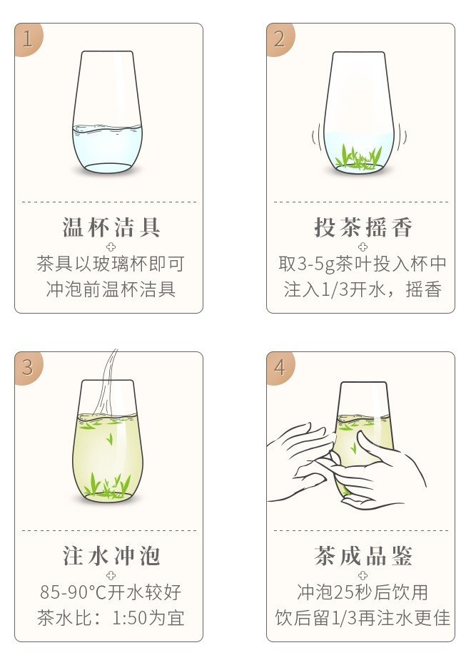 Original Chinese-labelled Xinyang Maojian brewing illustration with English reading notes