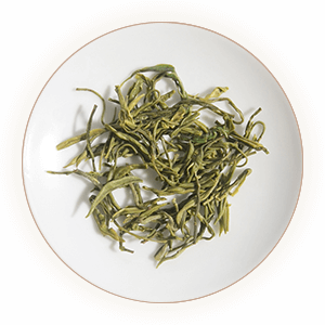Inherited reference illustration for Yongchuan Xiuya infused leaves