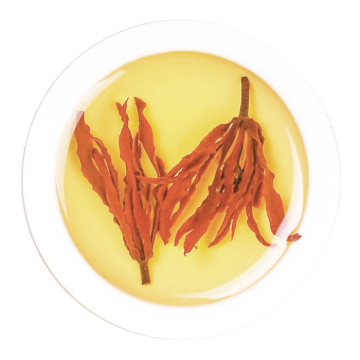 Inherited reference illustration for Yulan Magnolia Tea infused material