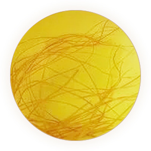 Inherited reference illustration for Corn Silk Tea infused material
