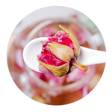 Inherited reference illustration for Chinese Rose Flower Tea infused material
