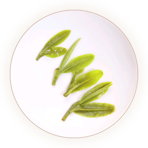 Inherited reference illustration for Yuexi Cuilan infused leaves