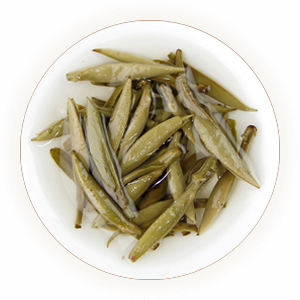An inherited reference photograph of infused Zhenghe Silver Needle leaves