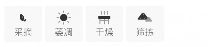 Chinese-labelled Zhenghe Silver Needle process illustration with an English reading note
