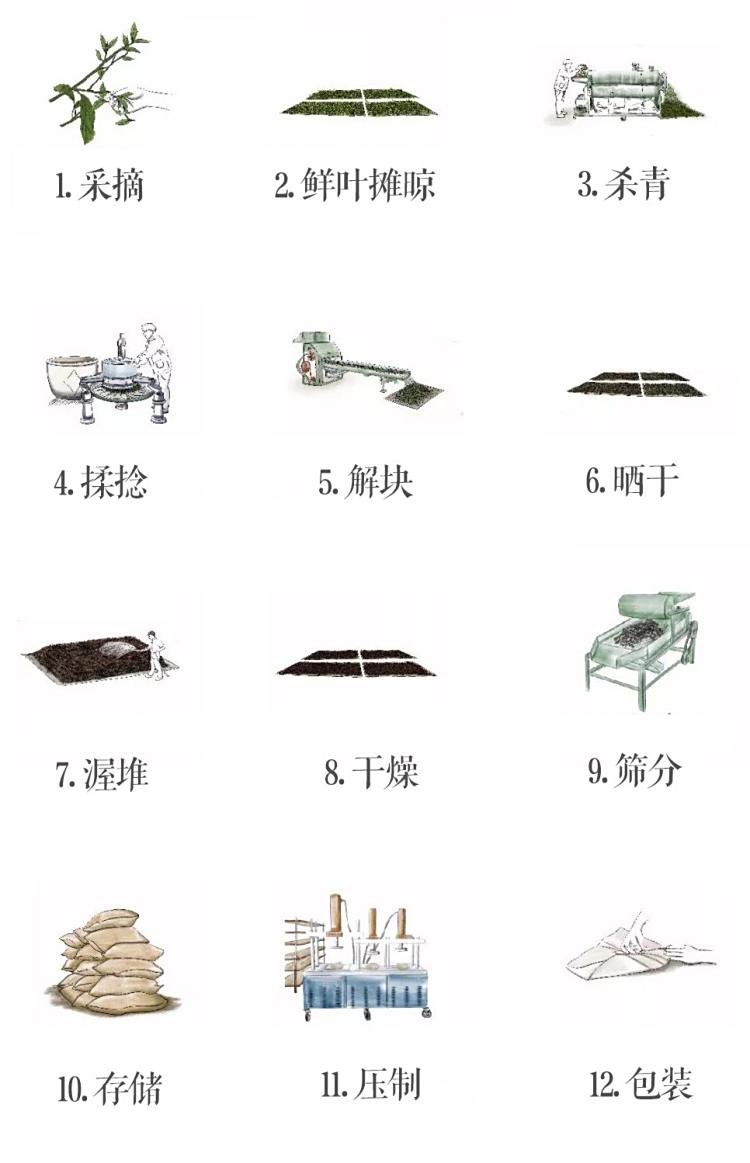 Original Chinese-labelled Zijin Pu-erh Brick process illustration