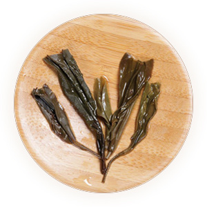 Inherited reference illustration for Ziya Tea (Purple Bud Tea) infused leaves